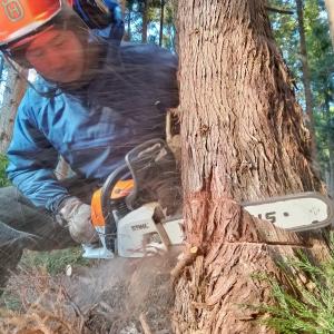 野村勇太さん　写真１