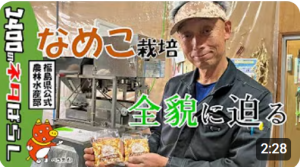 https://www.youtube.com/watch?v=fe-y2PWTH0E