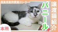 パ二