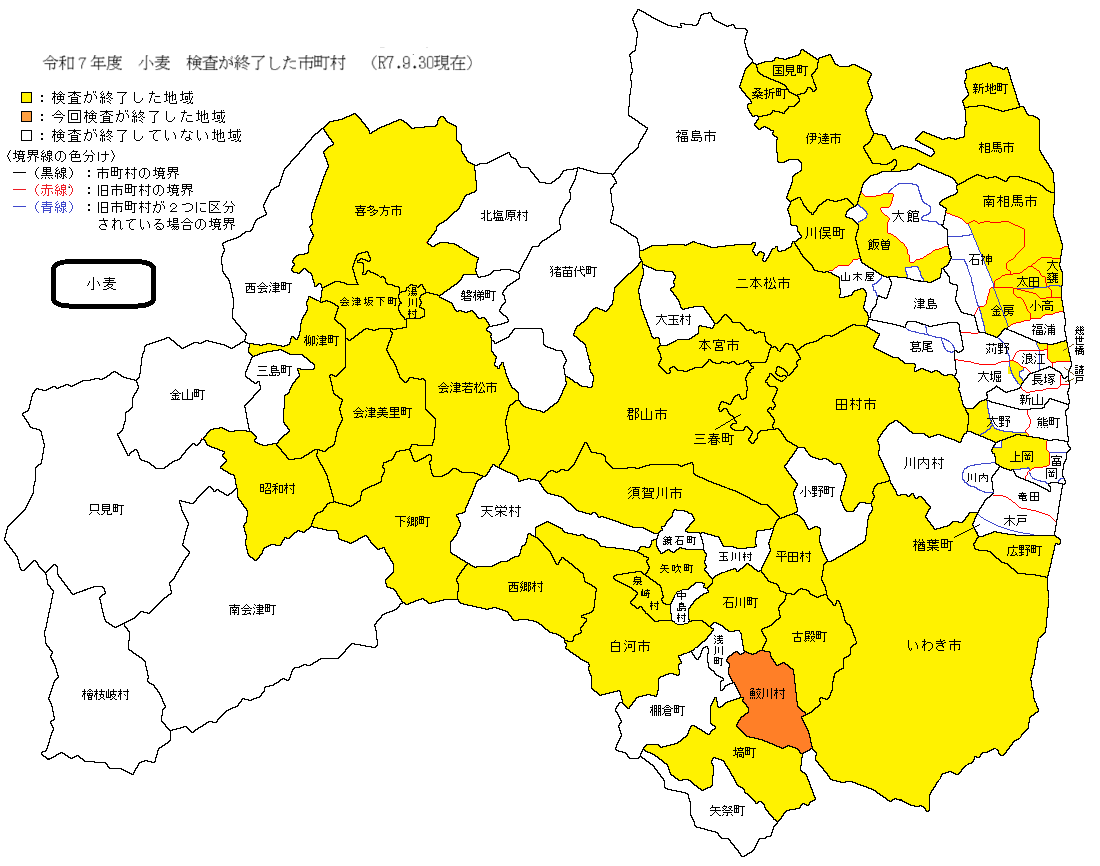 小麦