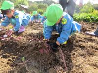 みどり幼稚園２