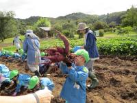 みどり幼稚園３