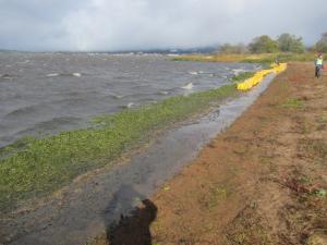 猪苗代湖松橋浜（作業前）
