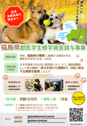 チラシ