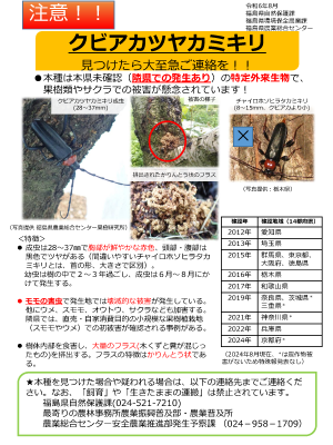 大人向け