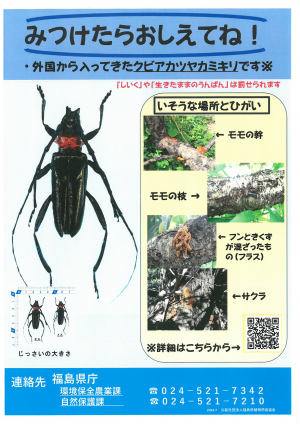 子ども向け