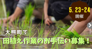 大熊町田植え