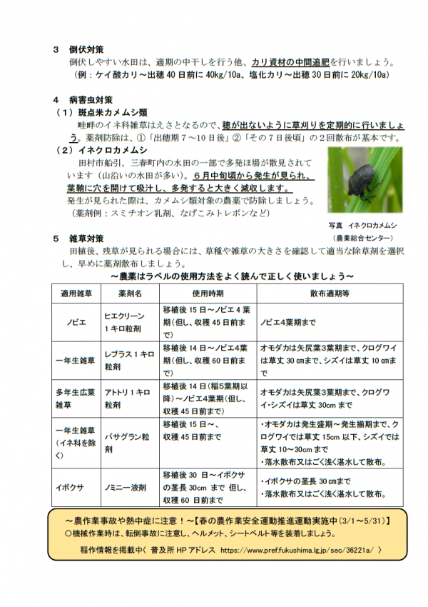 r803inasaku2