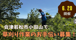 会津若松市草刈り