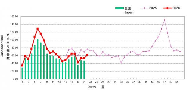 01_ARI地域別グラフ