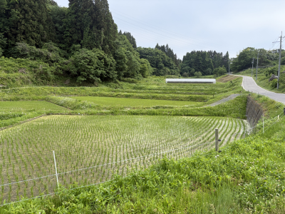 東和の白髭棚田