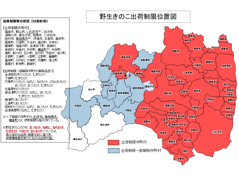 野生きのこ