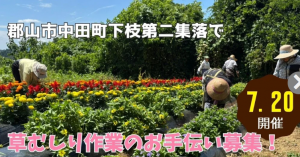 下枝第二草むしりボランティア