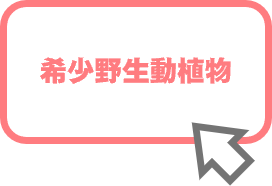 希少野生動植物