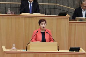 討論（宮本しづえ議員）の様子