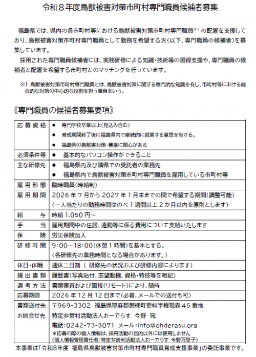 候補者募集要項
