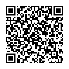 しらかわコネクト1・2（対象者：小学生・中学生）