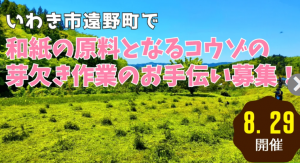 いわき市遠野町コウゾ芽欠き手伝い