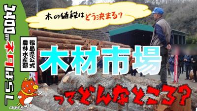 木材市場ってどんなところ?