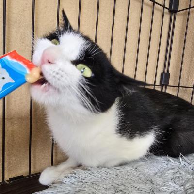 マロミ_おやつ2