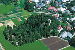 亀が森・鎮守森古墳