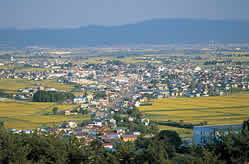 山手より坂下町を望む