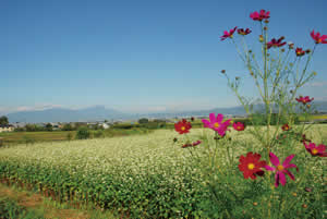 米沢より会津盆地を望む