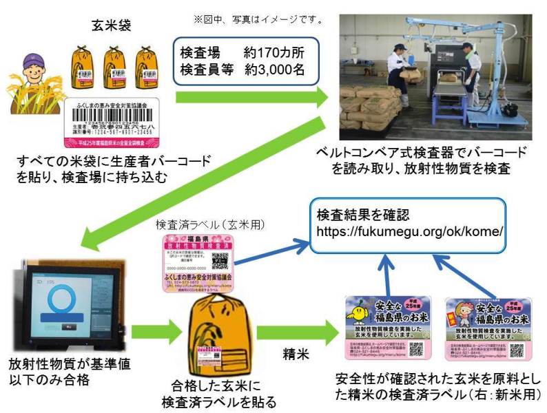 スクリーニング検査の流れ