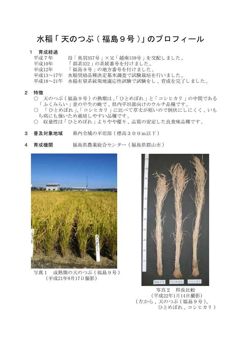 天のつぶのプロフィール