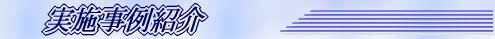 実施事例
