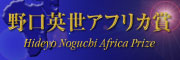 野口アフリカ賞内閣府バナー
