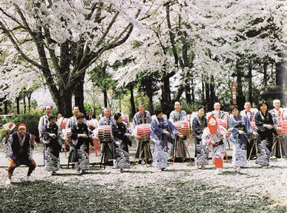 勝常寺の桜と念佛踊り