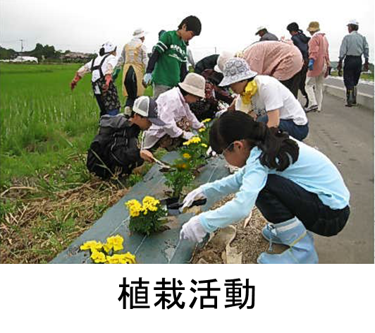 植栽活動