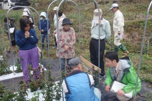 現地見学での質疑応答