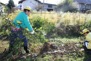 一見、楽な農作業ですが