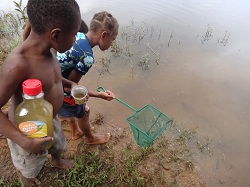 小魚を採る子供