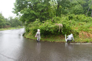 活動写真