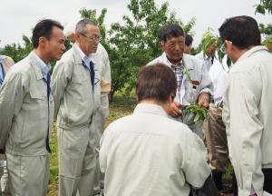 圃場（モモ）を調査する農林水産委員会