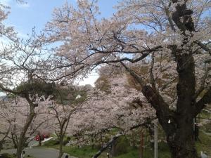 塩水流大地さん