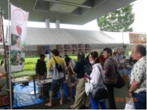 焼きそばの提供