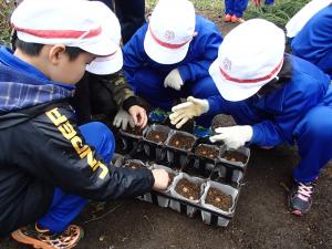 田島小学校スクールステイ②