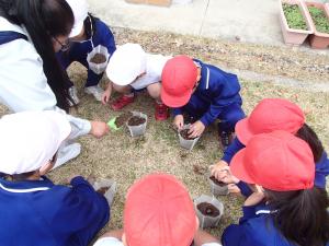 桧沢小学校スクールステイ②