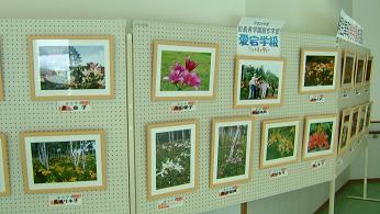 写真作品展