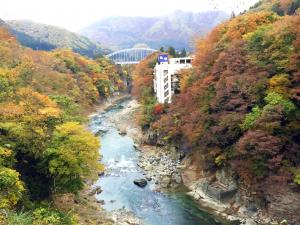 紅葉が真っ盛りだ