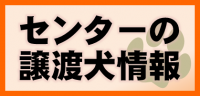 センターの譲渡犬情報