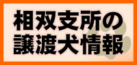 相双支所の譲渡犬情報