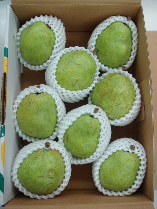 西洋なし(H23喜多方市)