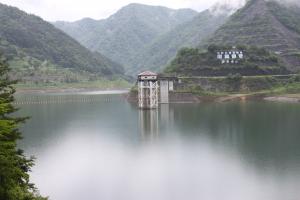 令和7年6月23日現在の様子