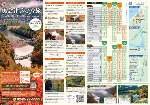 乗合型バス　ぶらり　チラシ