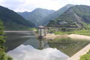 令和8年8月24日現在の様子